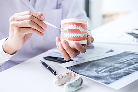 A dentist examining teeth models with a magnifying glass.